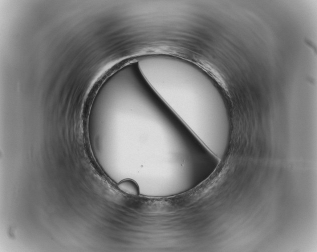 X0000096440784200801241117