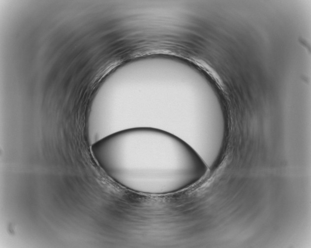 X0000096440785200801241117
