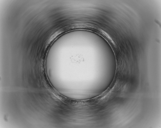 X0000096440786200801241117