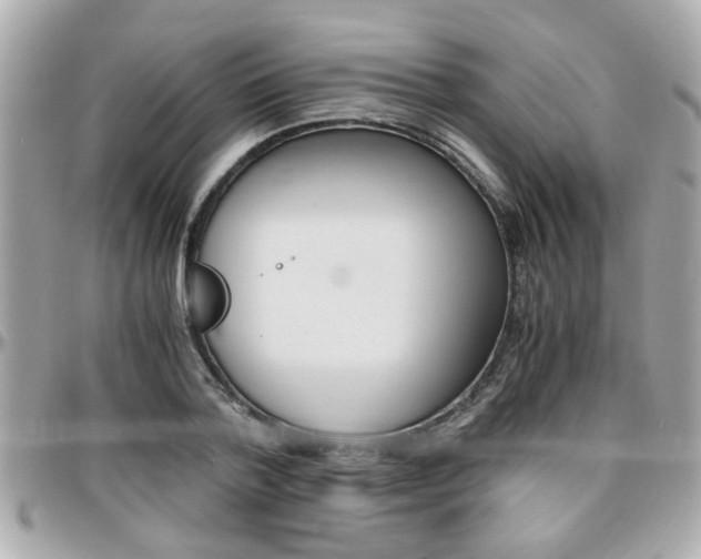 X0000096440788200801241117