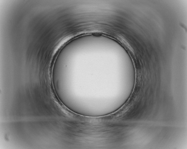 X0000096440789200801241117