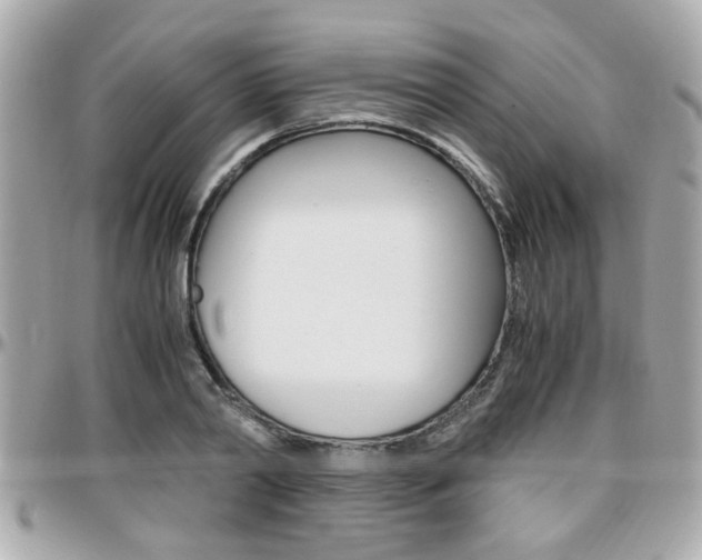 X0000096440790200801241117