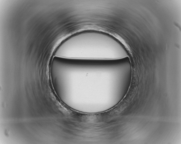 X0000096440791200801241117