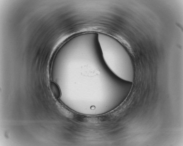 X0000096440792200801241117