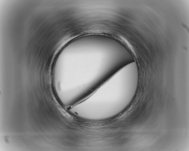 X0000096440795200801241116