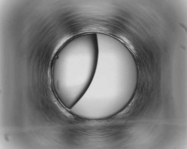 X0000096440796200801241116