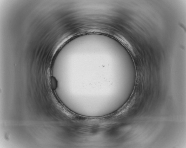 X0000096440798200801241116