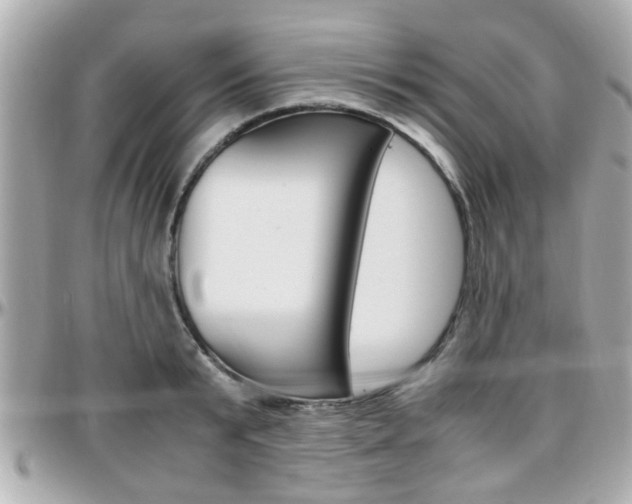 X0000096440799200801241116
