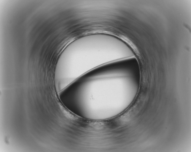X0000096440801200801241116