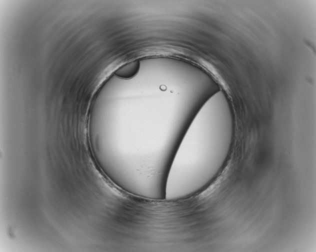 X0000096440802200801241116