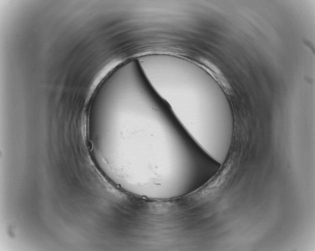 X0000096440804200801241116