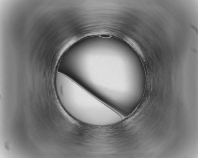 X0000096440805200801241116