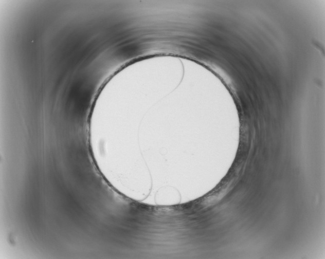 X0000096440807200801241116