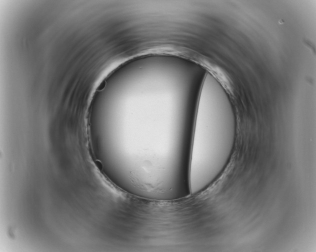 X0000096440808200801241116