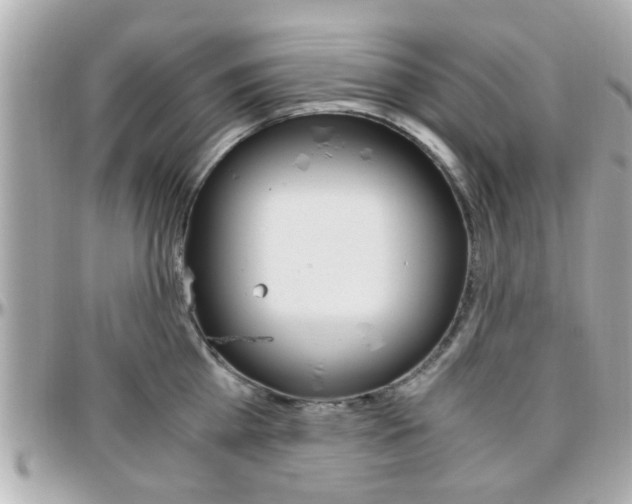X0000096440809200801241116