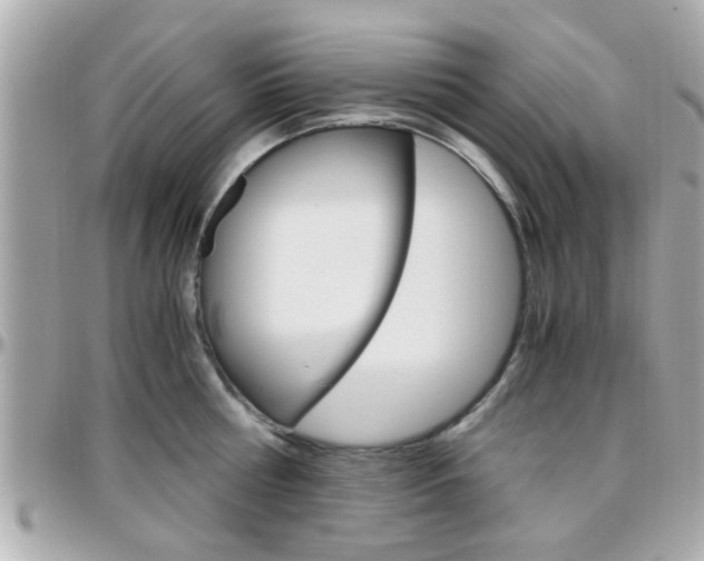 X0000096440810200801241116