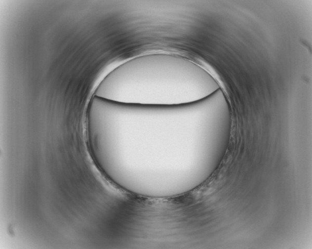 X0000096440811200801241116
