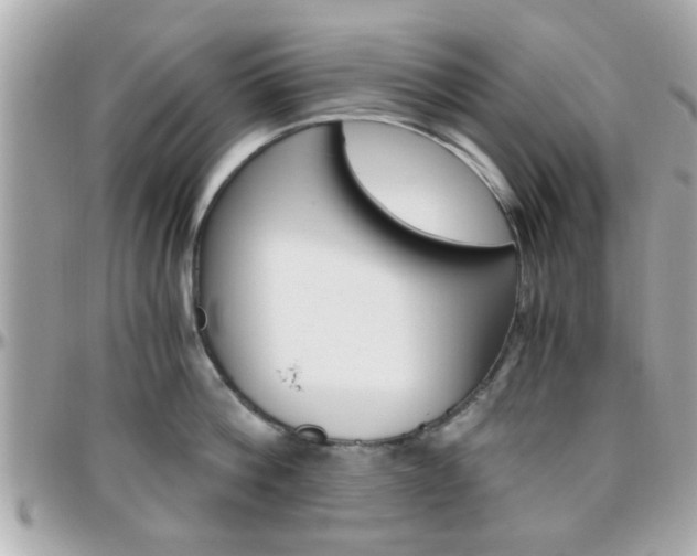 X0000096440812200801241116