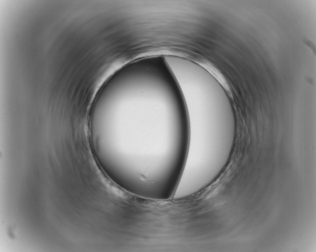 X0000096440813200801241116