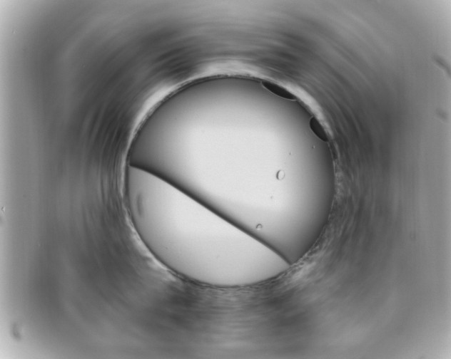 X0000096440815200801241116