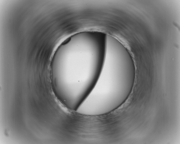 X0000096440816200801241116