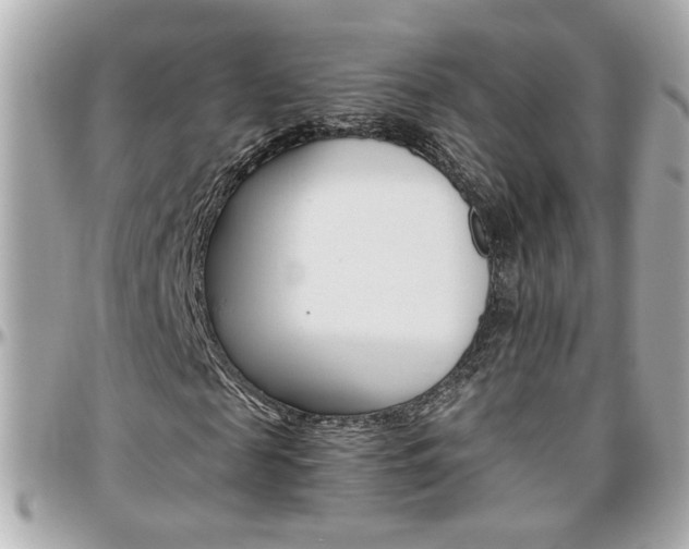 X0000096440817200801241116