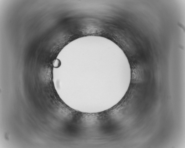 X0000096440820200801241116