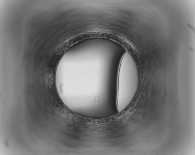 X0000096440821200801241116