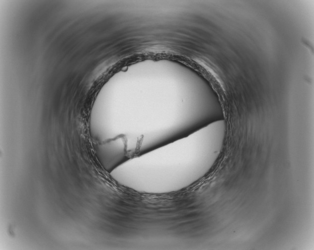 X0000096440823200801241116