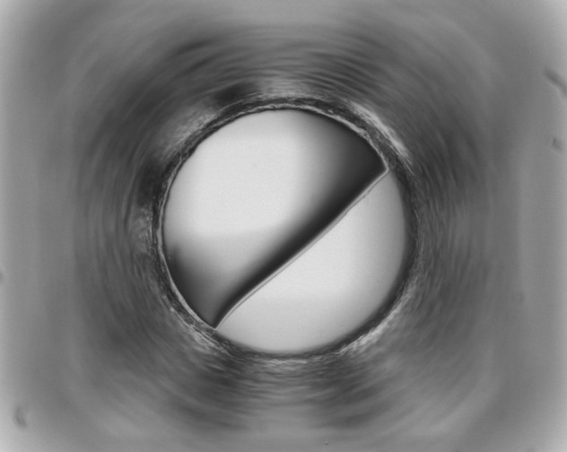 X0000096440825200801241116