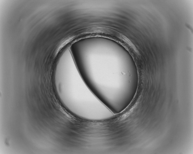 X0000096440826200801241116