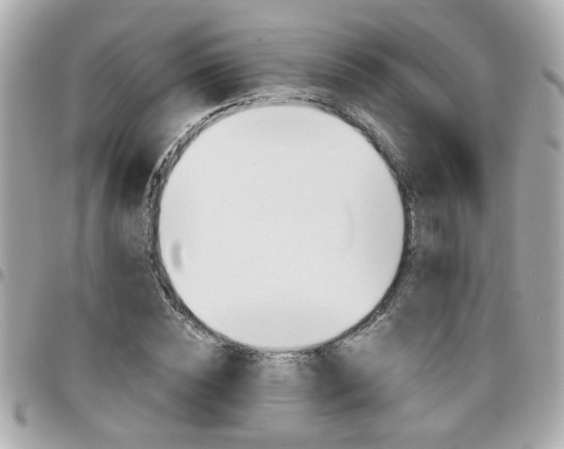 X0000096440828200801241116