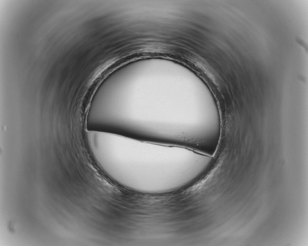 X0000096440829200801241116