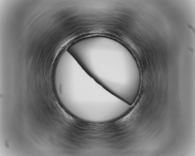 X0000096440831200801241116