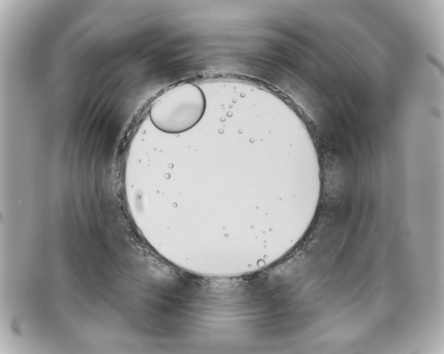 X0000096440832200801241116