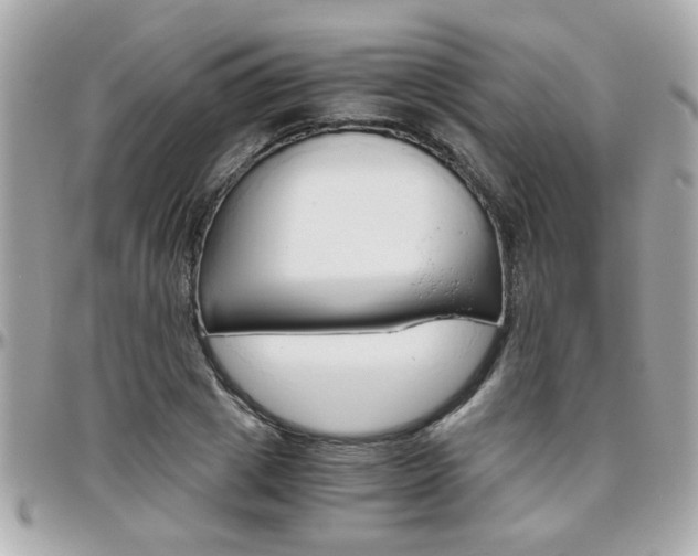 X0000096440833200801241116