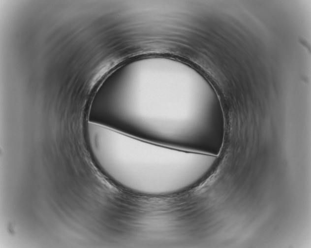 X0000096440834200801241116
