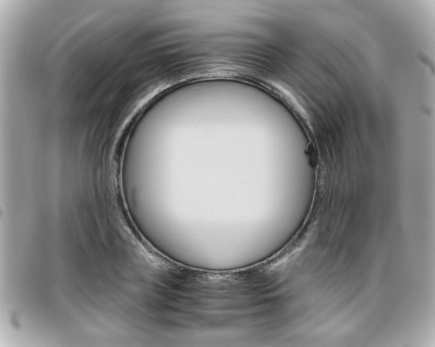 X0000096440835200801241116