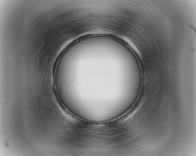 X0000096440837200801241116