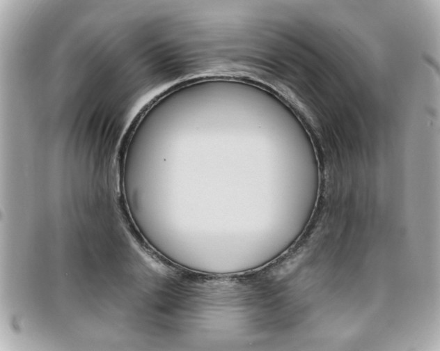 X0000096440838200801241116