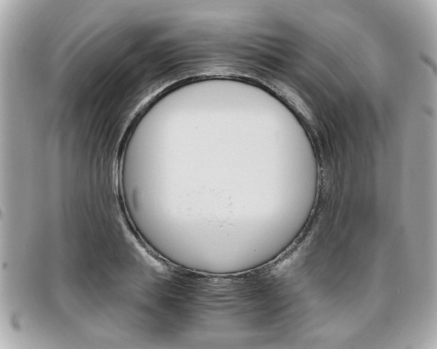 X0000096440839200801241116