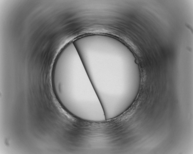 X0000096440840200801241116