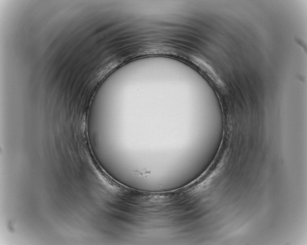 X0000096440841200801241116