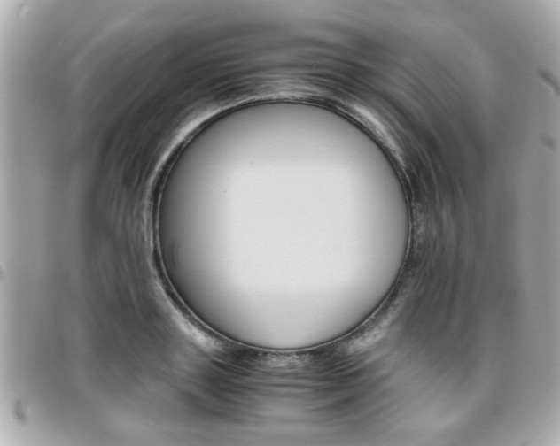 X0000096440843200801241116