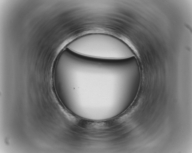 X0000096440845200801241116