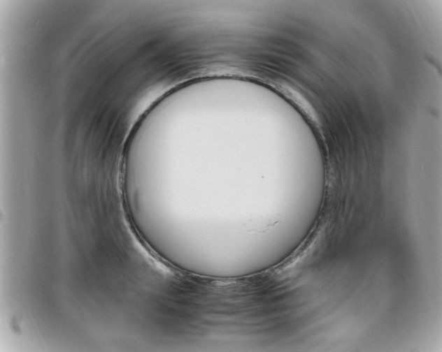 X0000096440847200801241116