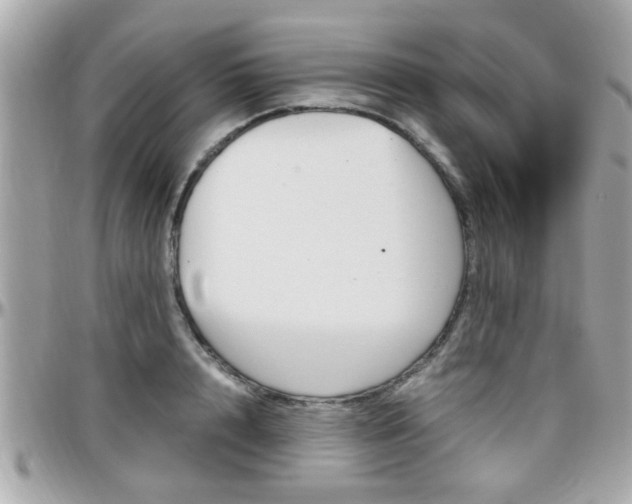 X0000096440848200801241116