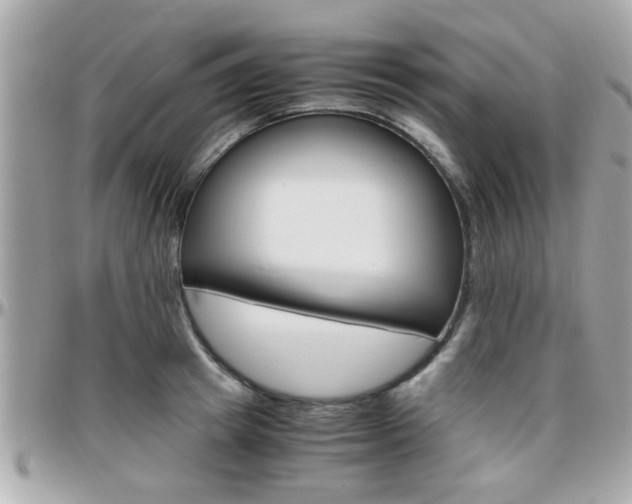 X0000096440849200801241116