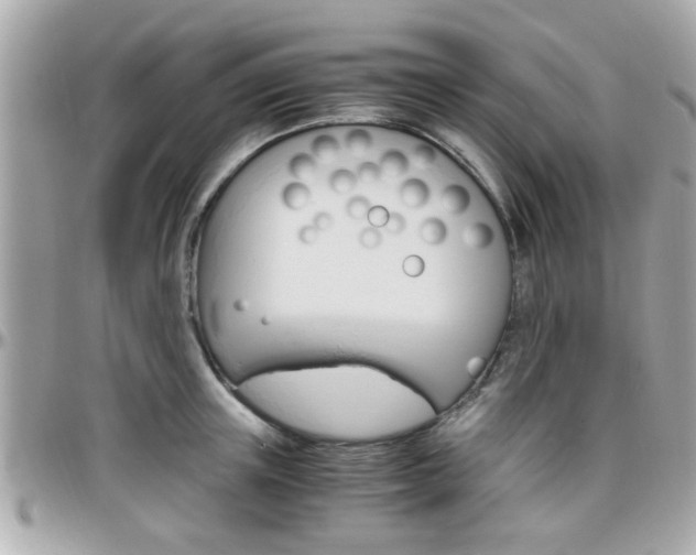 X0000096440851200801241116