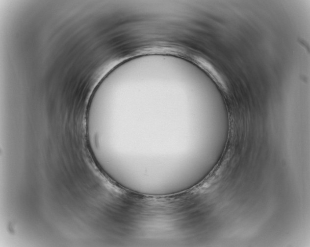 X0000096440852200801241116